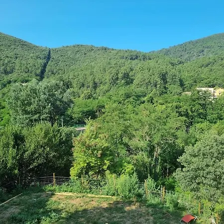 Apartment De La Tourterelle Saint-Florent-sur-Auzonnet